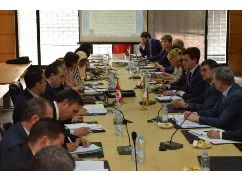 La réunion des experts de Russie et Tunisie