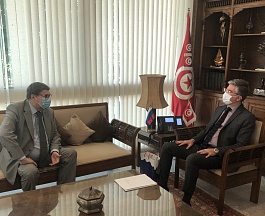 Rencontre de l'Ambassadeur de Russie en Tunisie avec le Ministre du tourisme et de l'artisanat de la République Tunisienne